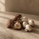 Mushrooms, photographed on stone.