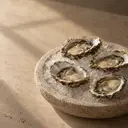 Oysters, photographed on stone.