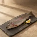 Trout, photographed on stone.