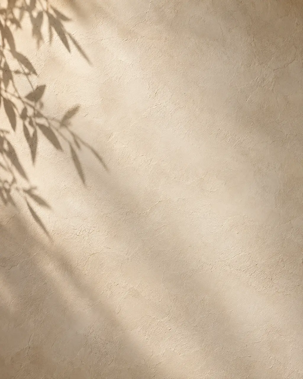 Olive leaves casting shadows on a limestone wall