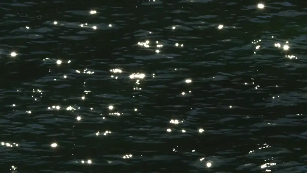 Sunlight glinting on dark still water